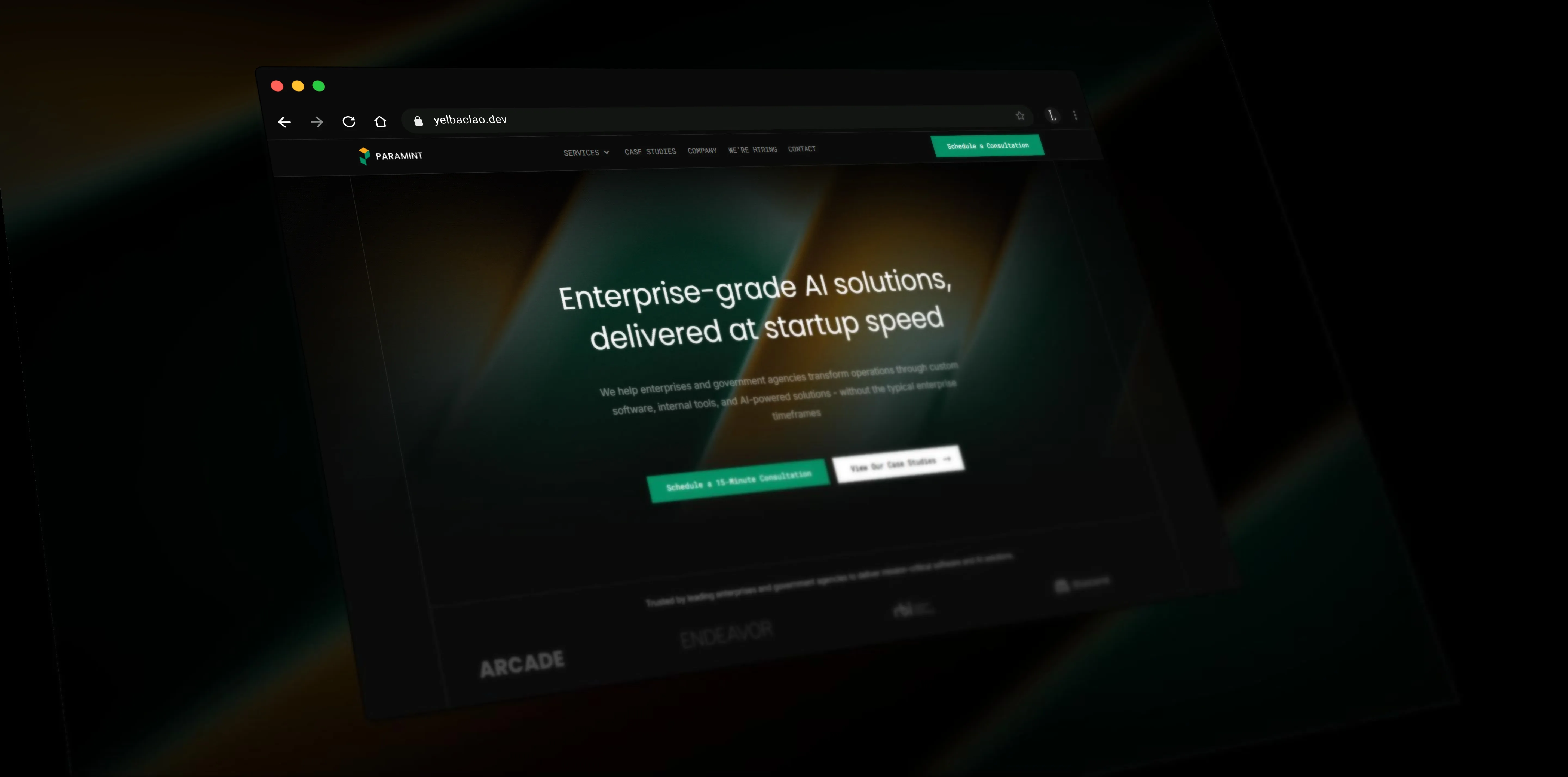 Paramint — brand identity and website overview mockup showcase