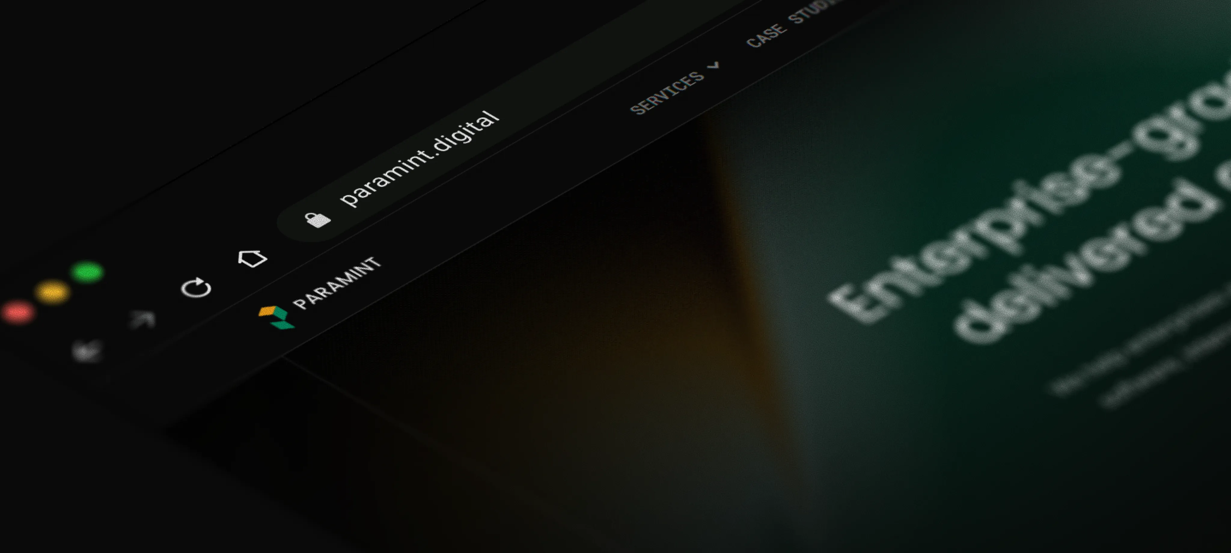 Paramint — marketing website